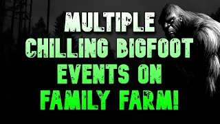 MULTIPLE CHILLING BIGFOOT EVENTS ON FAMILY FARM! Plus More True Bigfoot Encounter Stories