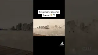 king shark become a human again The flash