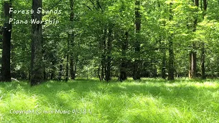 Peaceful & Relaxing Forest Nature Sounds | Background Instrumental | Piano Hymns Worship ASMR