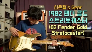 신윤철의 Gear : 1982 펜더 골드 스트라토캐스터 (1982 Fender Gold Stratocaster)