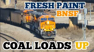 MASSIVE DOUBLE COAL ALERT! Coal Train action featuring K5LLAs, fresh paint, speed, loud dpus & more!