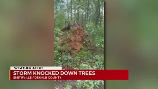 Strong storm knocks down trees in Smithville