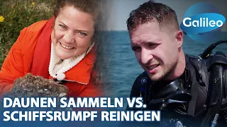 Vincent zeigt vollen Körpereinsatz beim Schiffsrumpf reinigen vs. Maike auf der suche nach Daunen!