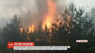 Рятівний дощ: у Житомирській області  вдалося локалізувати лісові пожежі