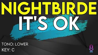 Nightbirde - It's OK - Karaoke Instrumental - Lower