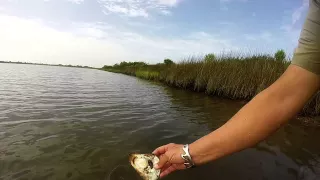 Paddling at Galveston Island State Park - Tips from a Park Ranger