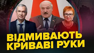 ЛАТУШКО / КОШАРНА: Лукашенко затіяв ХИТРУ ГРУ / Домовленість з ОРБАНОМ? / Небезпека на ЗАЕС