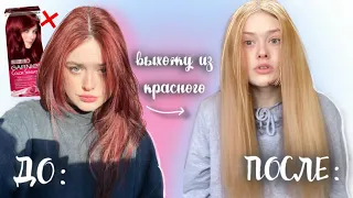 ￼выхожу из красного без осветления￼ *я такого не ожидала￼*