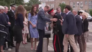 Prince William rushes to help dignitary after dramatic fall