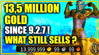 9.2.7: How I made 13,5 MILLION GOLD Profit in 1 month | What still sells? WoW Shadowlands Goldmaking