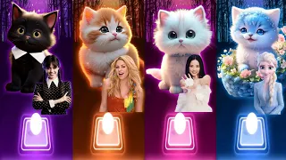 Cute Cats Dance | Wednesday Bloody Mary |  Shakira Waka Waka | Jisoo Flower | Elsa Enemy | Cat Games