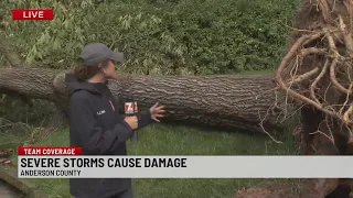 Severe storm damage in Anderson Co. neighborhood
