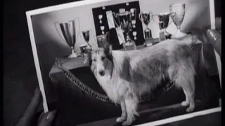 Lassie - Episode #166 - "Tartan Queen" Season 5, Ep. 23 - 02/08/1959