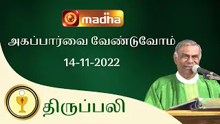 🔴 LIVE 14 November 2022 Holy Mass in Tamil 06:00 PM (Evening Mass) | Madha TV