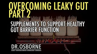 Part 2 - The Ultimate Crash Course on Leaky Gut - Supplements