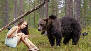 Заблудившаяся в тайге девушка ждала помощи, но медведь пришел первым