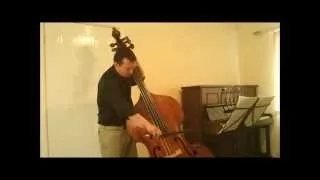 Mozart: Symphony 39 1st mov double bass excerpt. Damián Rubido González, double bass