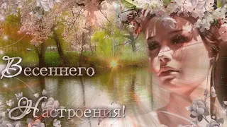 Доброе Весеннее Утро! Я вам желаю Улыбок, Радости, Добра! Красивое пожелание Доброго Утра!