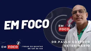 PROGRAMA EM FOCO - DR. PAULO GUSTAVO - VETERINÁRIO