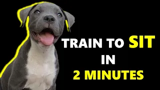 EASIEST WAY to train SIT command