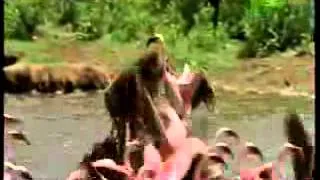 Killer Clips  Baboon Attack   YouTubeC6iDM NR=1