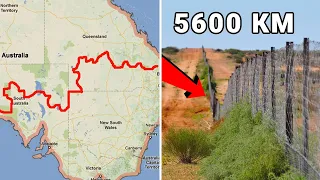 Для чего в Австралии построили самый длинный забор в Мире!