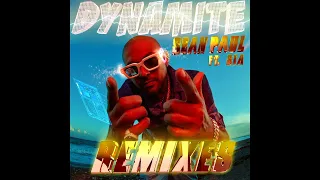 Sean Paul - Dynamite (feat. Sia) [Nelsaan Remix]