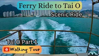 Ferry Ride to Tai O: Scenic Ferry Ride from Tuen Mun to Tai O 途經港珠澳大橋, 香港國際機場, 大嶼山 纜車...