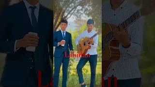 Labidan😍 #music #trending #uzbekistan #muhammadziyo #umrbekyoldoshev #like #shorts #youtobeshorts