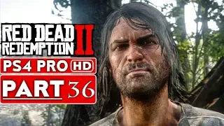 RED DEAD REDEMPTION 2 Gameplay Walkthrough Part 36 [1080p HD PS4 PRO] - No Commentary