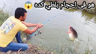 صيد البلطي العجوز بالغله والطعم 😱😱 احجام يتمناها كل صياد