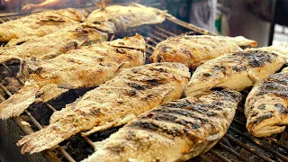 grilling Fish on a Charcoal Grill - Thailand Street Food