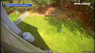 VIDEO NOW: Bear caught on camera in Fall River yard