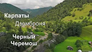 Черный Черемош. Дземброня.