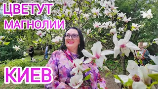 КИЕВ РАСЦВЁЛ! ЛЮДЯМ НАДОЕЛА ВОЙНА! Как мы живём в Киеве сейчас / Украина 2024