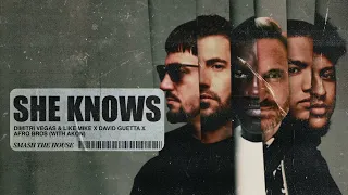 Dimitri Vegas & Like Mike, David Guetta, Afro Bros - She Knows [with Akon] (Visualizer)