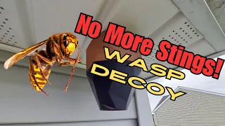 Making a 3D Printed Wasp Decoy Nest