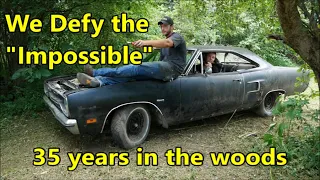 "Will It Run" The Movie (A Truly INSANE Vehicle Revival)