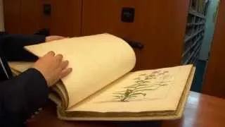 The New York Botanical Garden: Mertz Library Tour