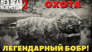 Red Dead Redemption 2 - Охота на Легендарного Бобра.