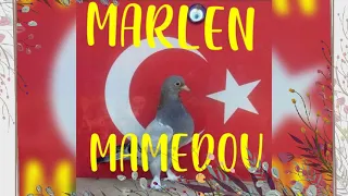 Турецкие голуби в городе Самарканде