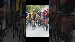 La Vuelta 2023 Stage 2 Roglic Crash Vingegaard Stopped Pelaton