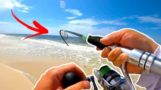 Alabama Surf Fishing | Everything You Need To Know