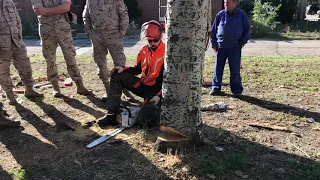 Curso de poda y forestal