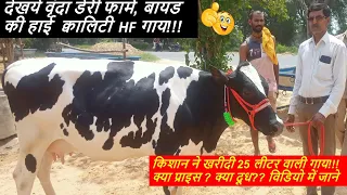 🔥देखये वृंदा डेरी फार्म, बायड की हाई  क्वालिटी  HF गाय🐮किशान ने खरीदी 25 लीटर वाली गाय#BTF@Bayad