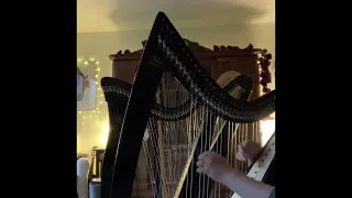 Tension for Lever Harp by Kristine Warmhold played on Ulysse Harp