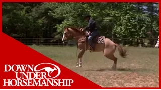 Clinton Anderson Presents: Soxie under Saddle