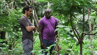 Transform Cocoa Production:Dynamic Agroforestry for Sustainable Livelihoods | Research at ETH Zurich