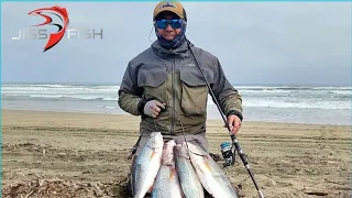 !! Frenesí Corvinas 😱🔥  !!       Chispas Jigs Fish intratable 👌