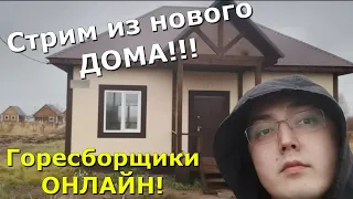 Горесборщики онлайн! Стрим из нового дома! Помощь в сборке ПК онлайн!